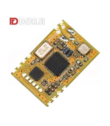 ماژول فرستنده و گیرنده DRF1212D10-043S1